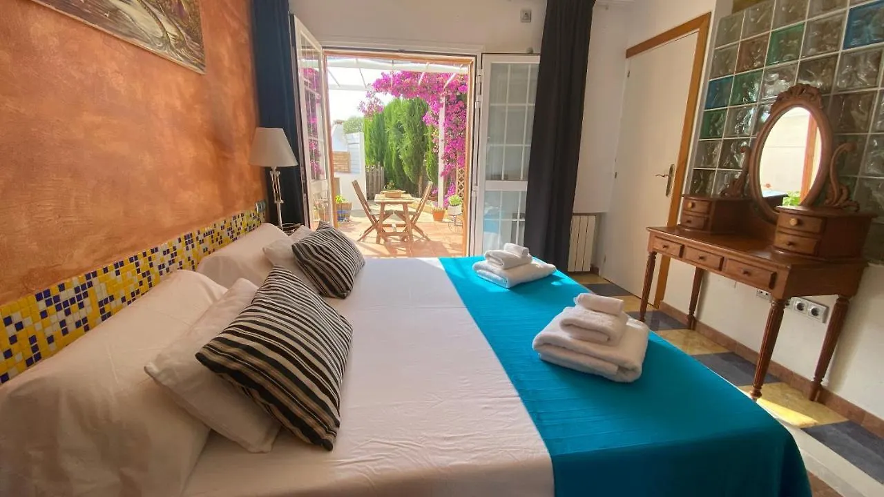 Can Damia 2 Cala Saona Apartment
