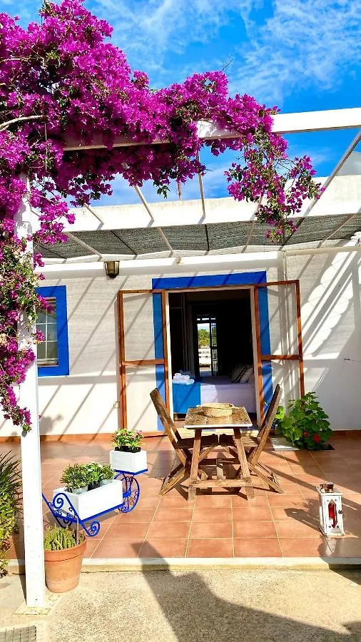 Apartment Can Damia 2 Cala Saona