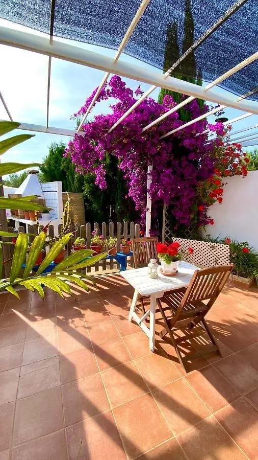 Apartment Can Damia 2 Cala Saona