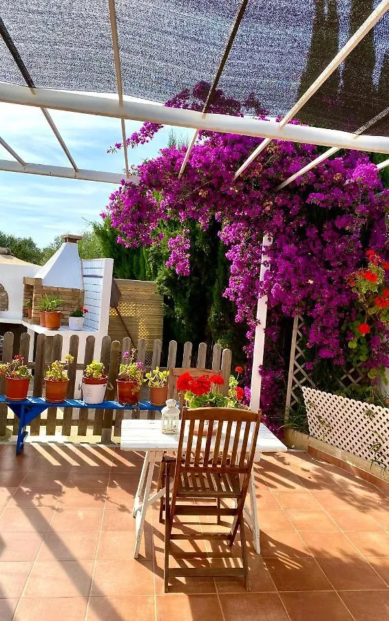 Can Damia 2 Cala Saona Apartment